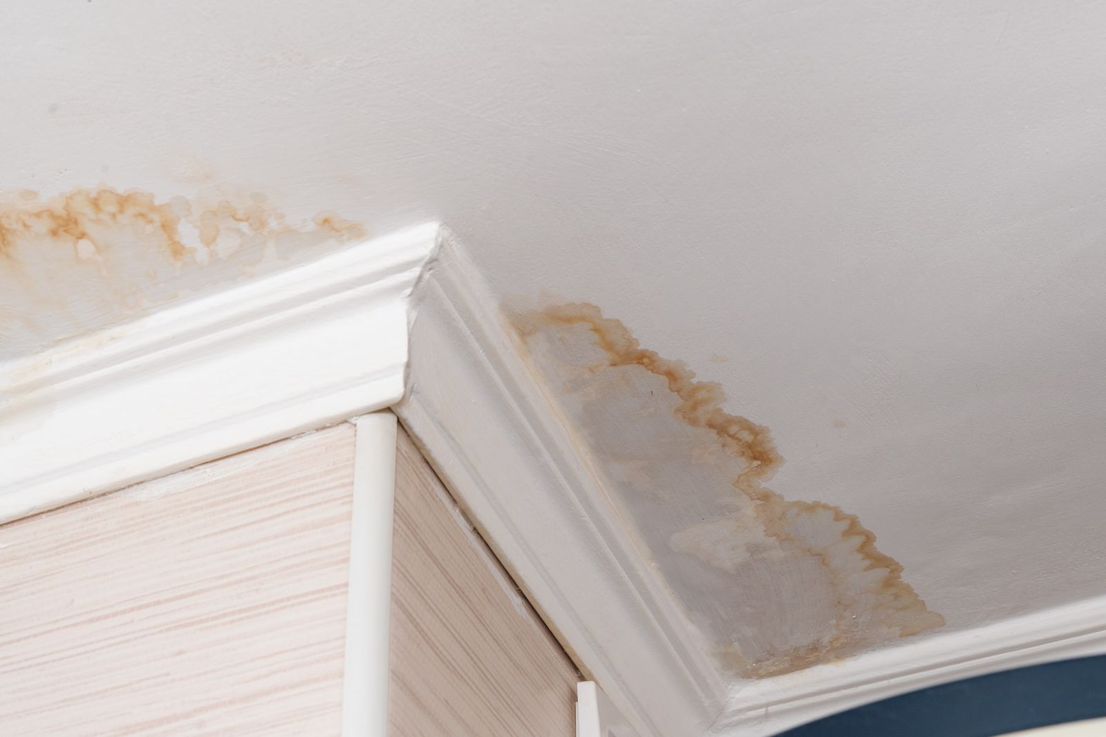 Regency Home improvement Images